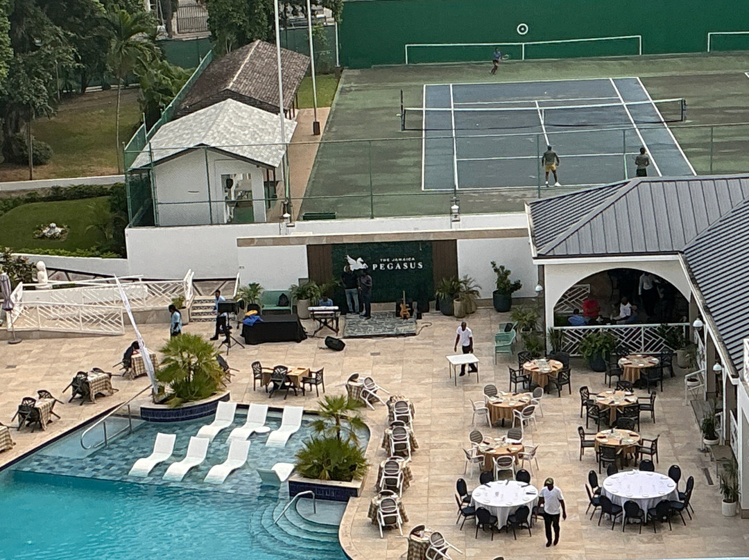 The Jamaica Pegasus Hotel主图