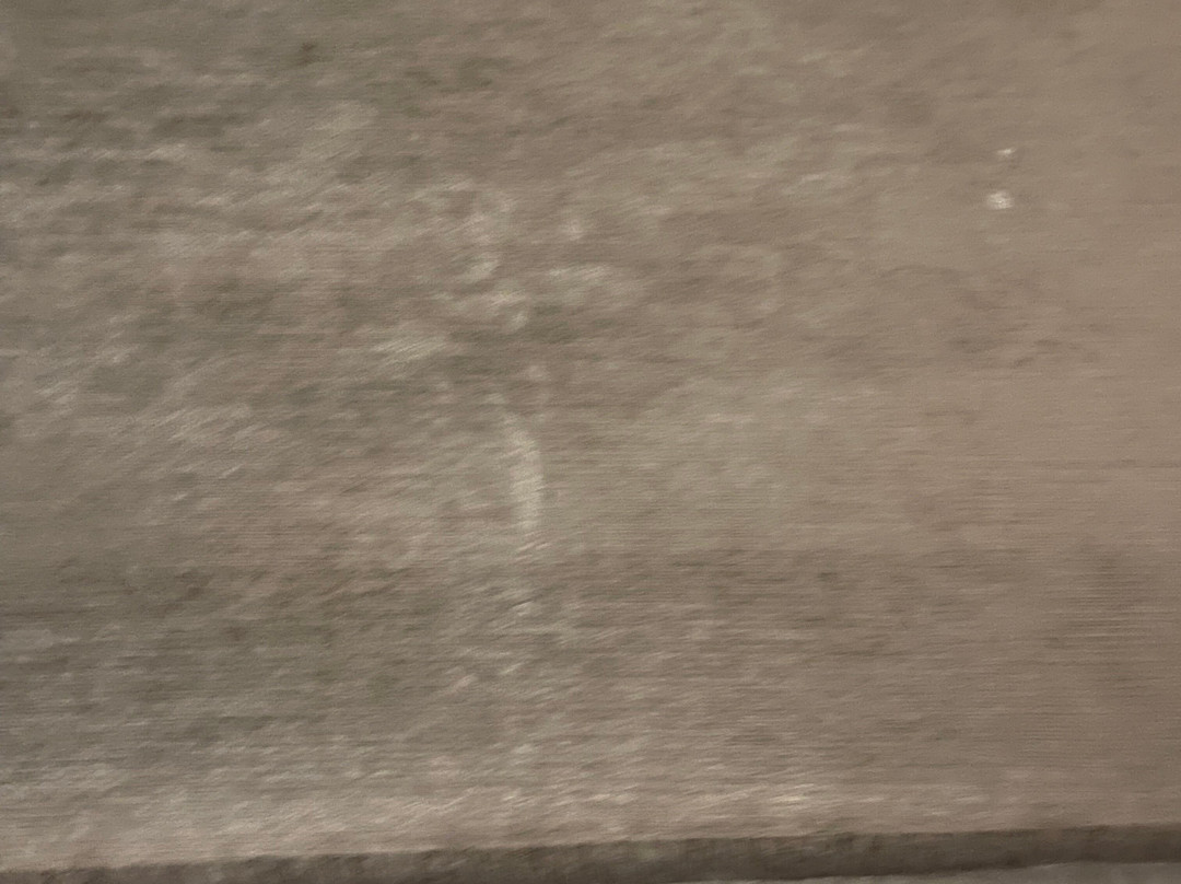 La Quinta Inn & Suites by Wyndham Detroit Metro Airport主图