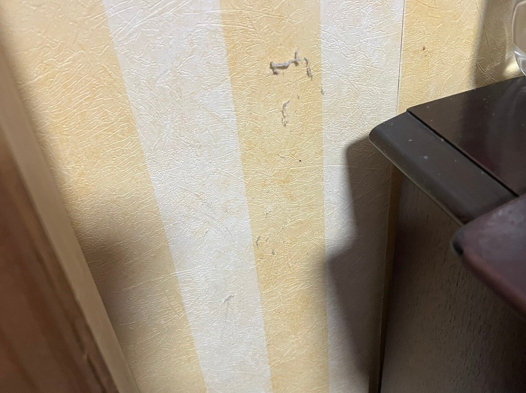 布鲁斯酒店主图