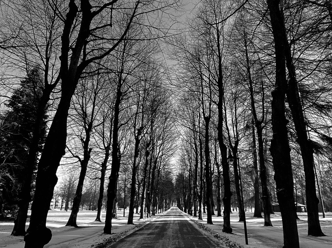 Boulognerskogen City Park-Gävle必去景点