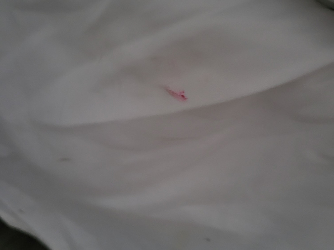 Lincoln Inn Fredericton主图