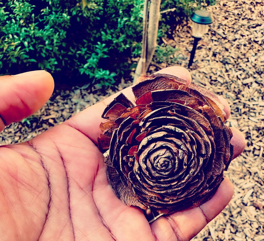 Hug Point State Park-坎农比奇必去景点