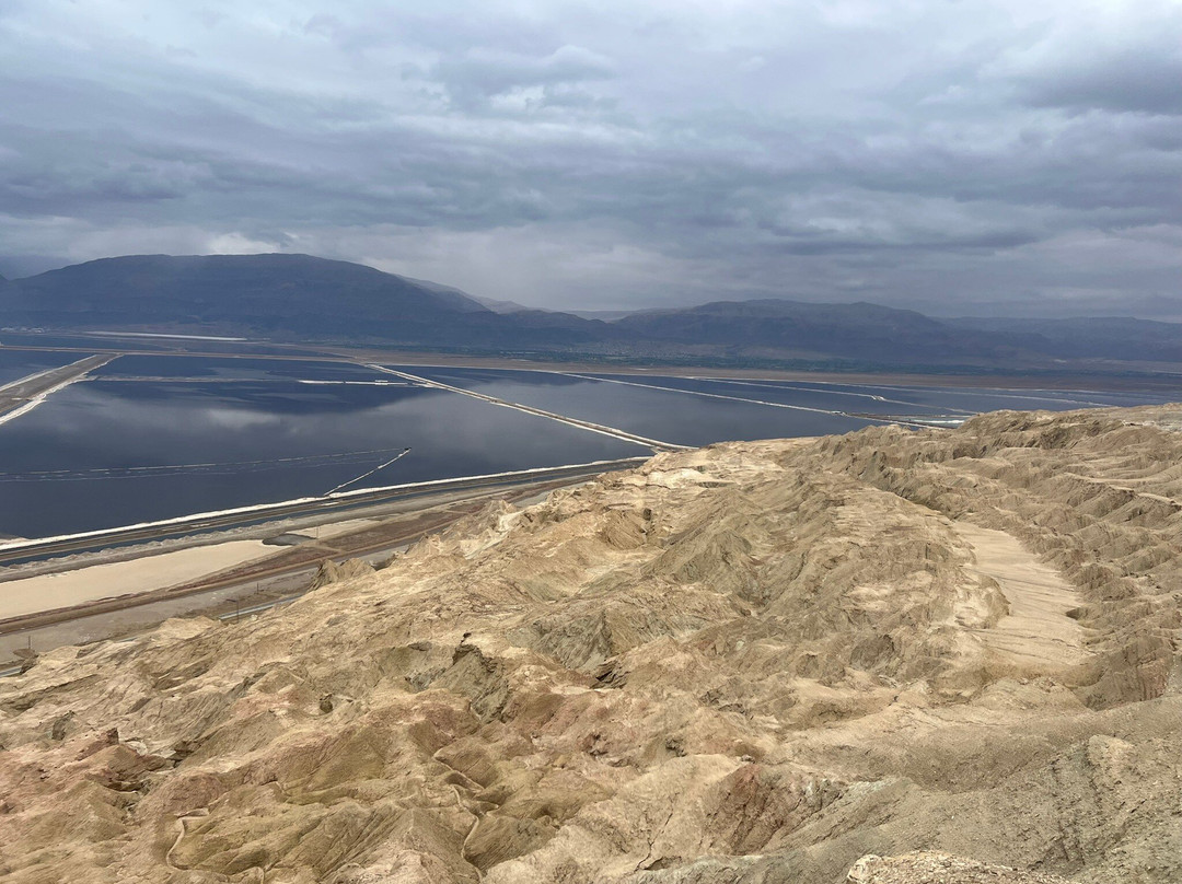 Yoni Shtern - Tour Guide-Neot HaKikar必去景点