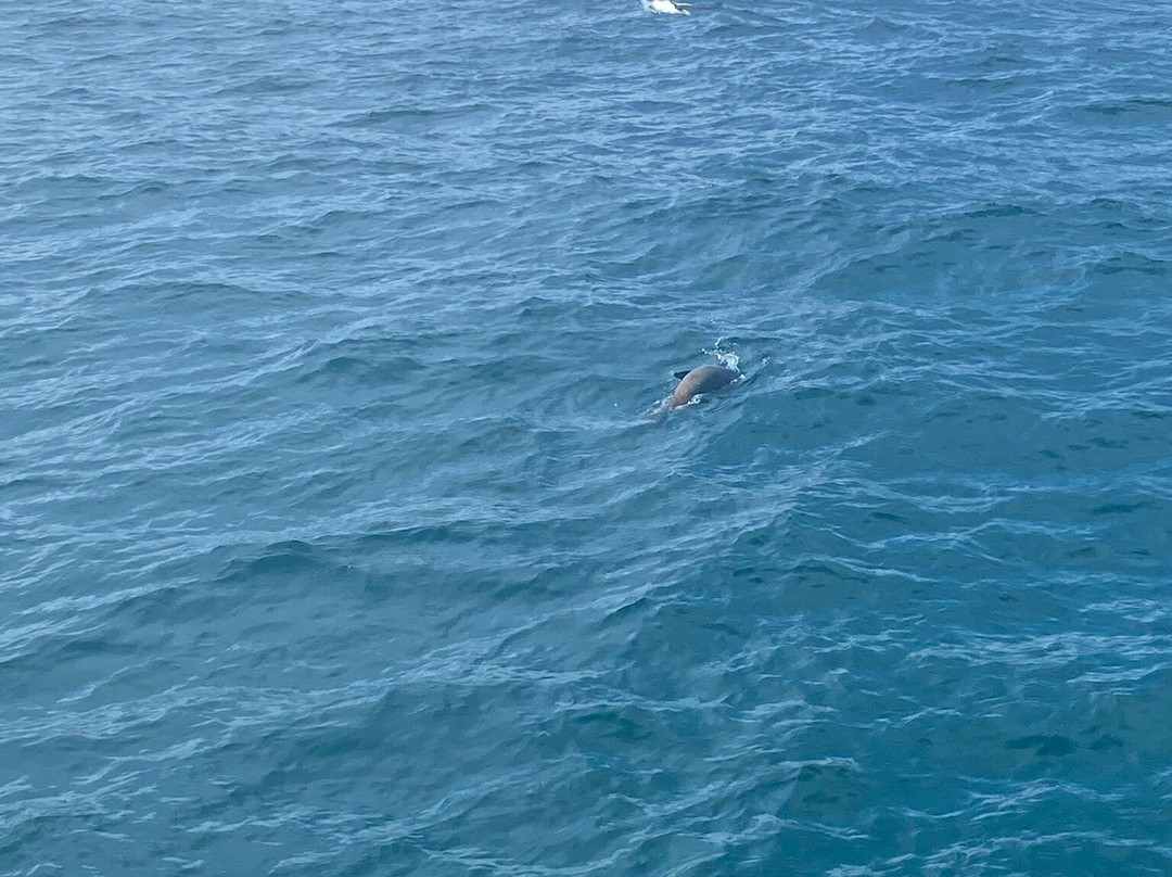 Ben Boyd Tower-伊登港必去景点