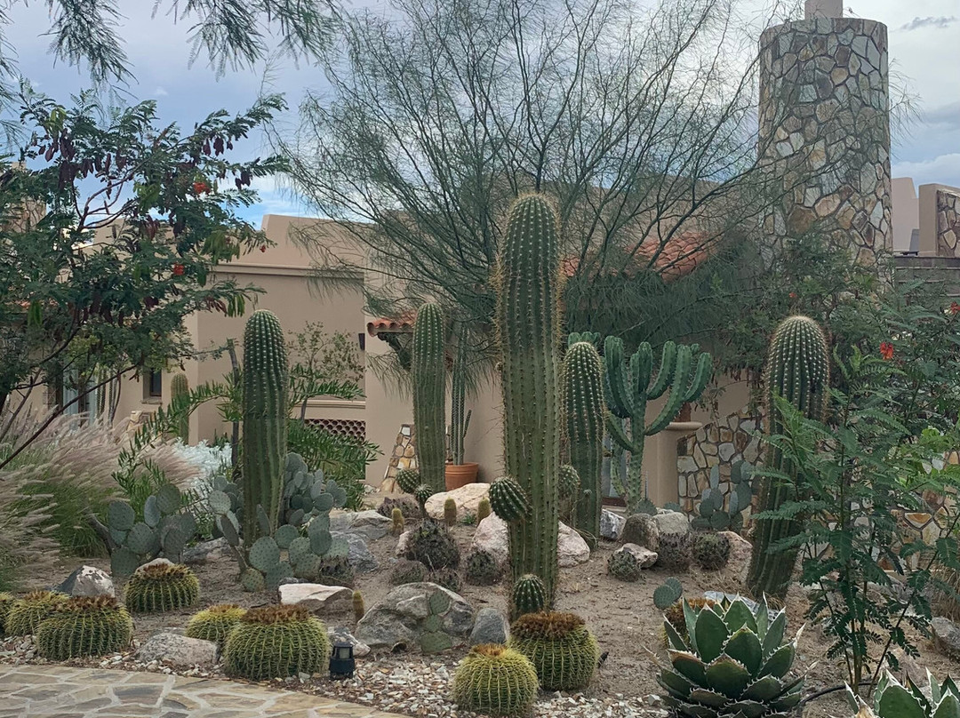 The Piattelli Wine Resort主图