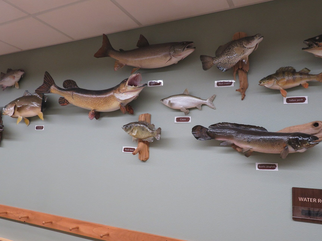 North Lakeland Discovery Center景点图片