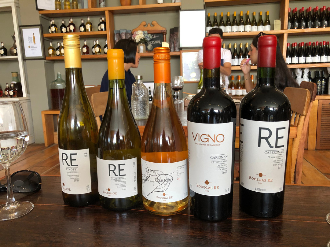 Bodegas RE