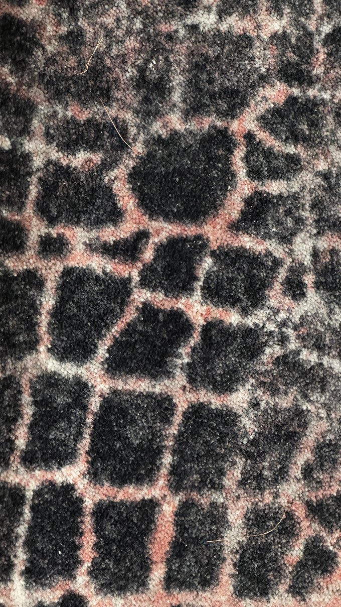 比亚韦斯托克美居酒店-官方