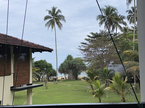 Sri Lankan Taxi and Tours-瓦勒迦玛必去景点