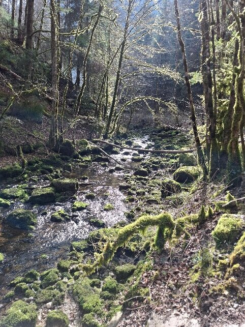 Gorges du Pichoux-Undervelier必去景点