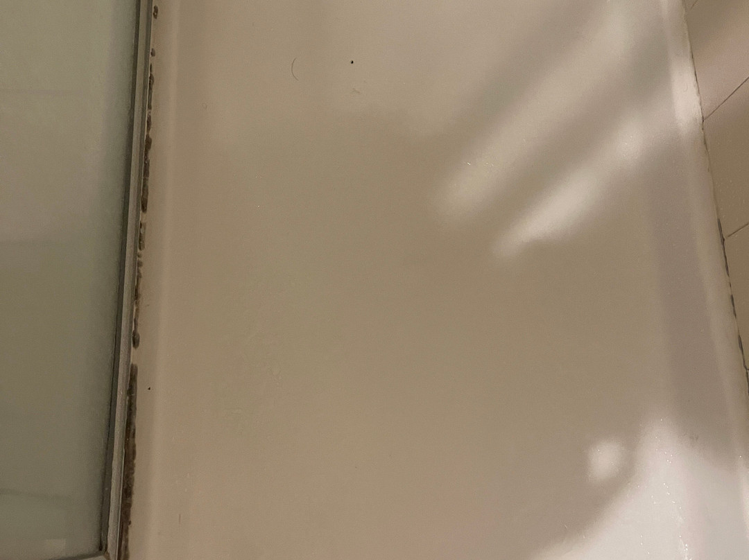 印度棕榈乡村俱乐部度假酒店主图