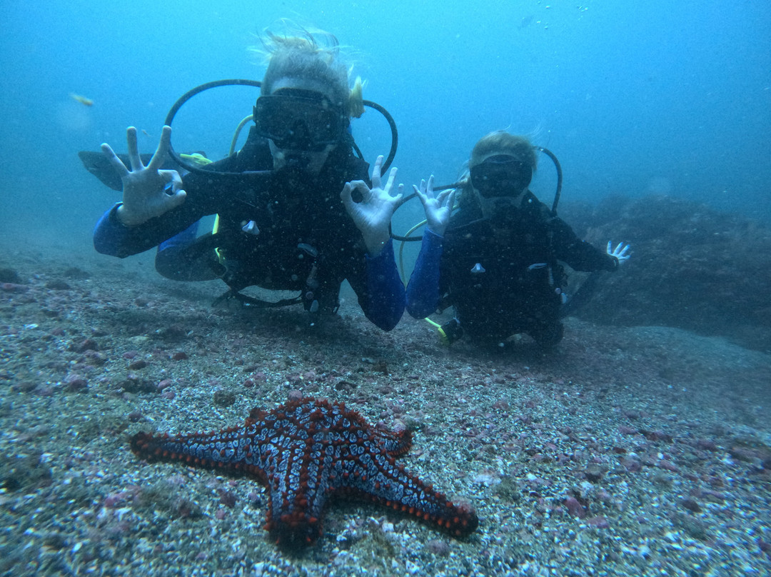 Scuba Tamarindo景点图片