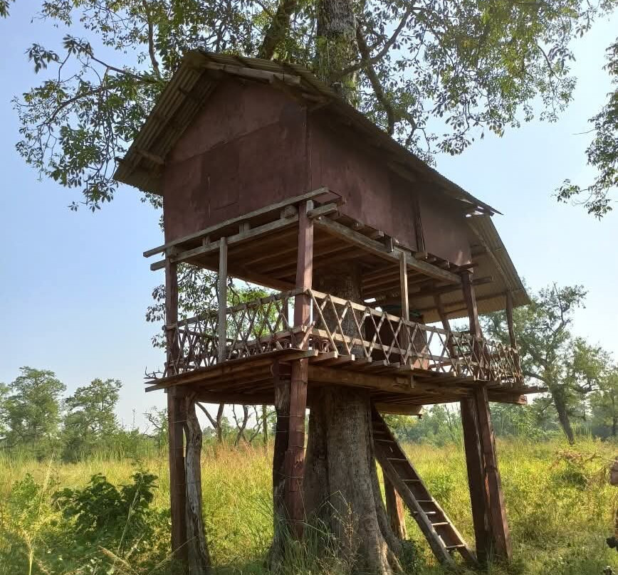 Bardia Homestay主图