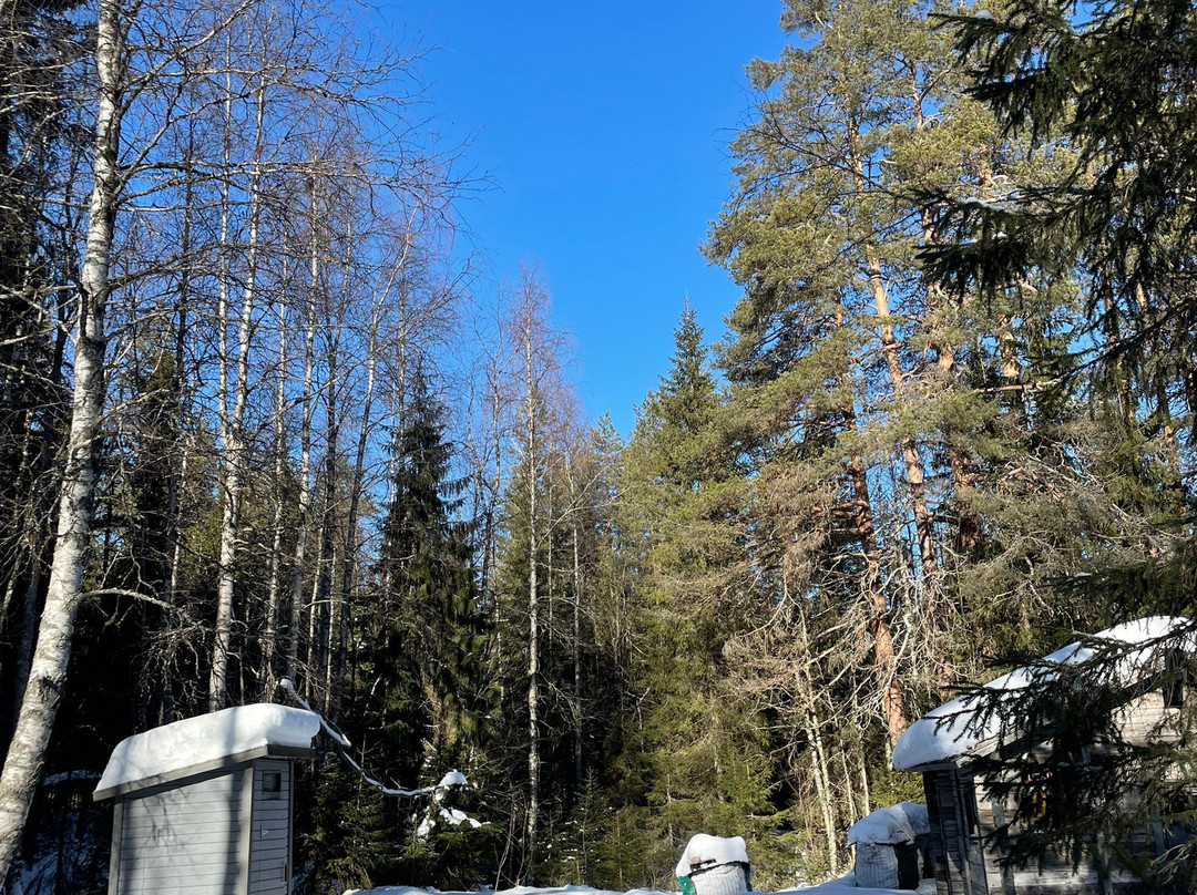 Aavasaksa Adventures-Ylitornio必去景点