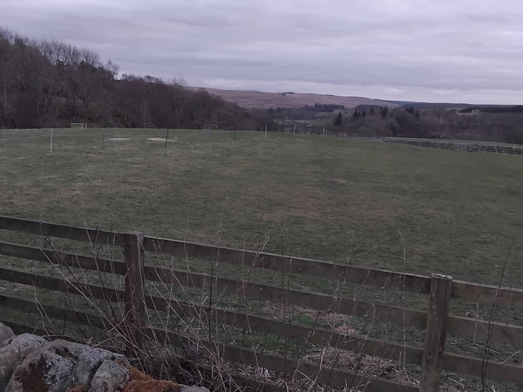 Holly Bush Inn主图