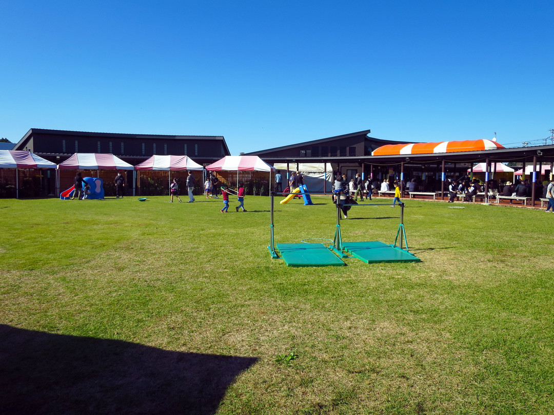 Sky Station Sol la la Product Center-小美玉市必去景点