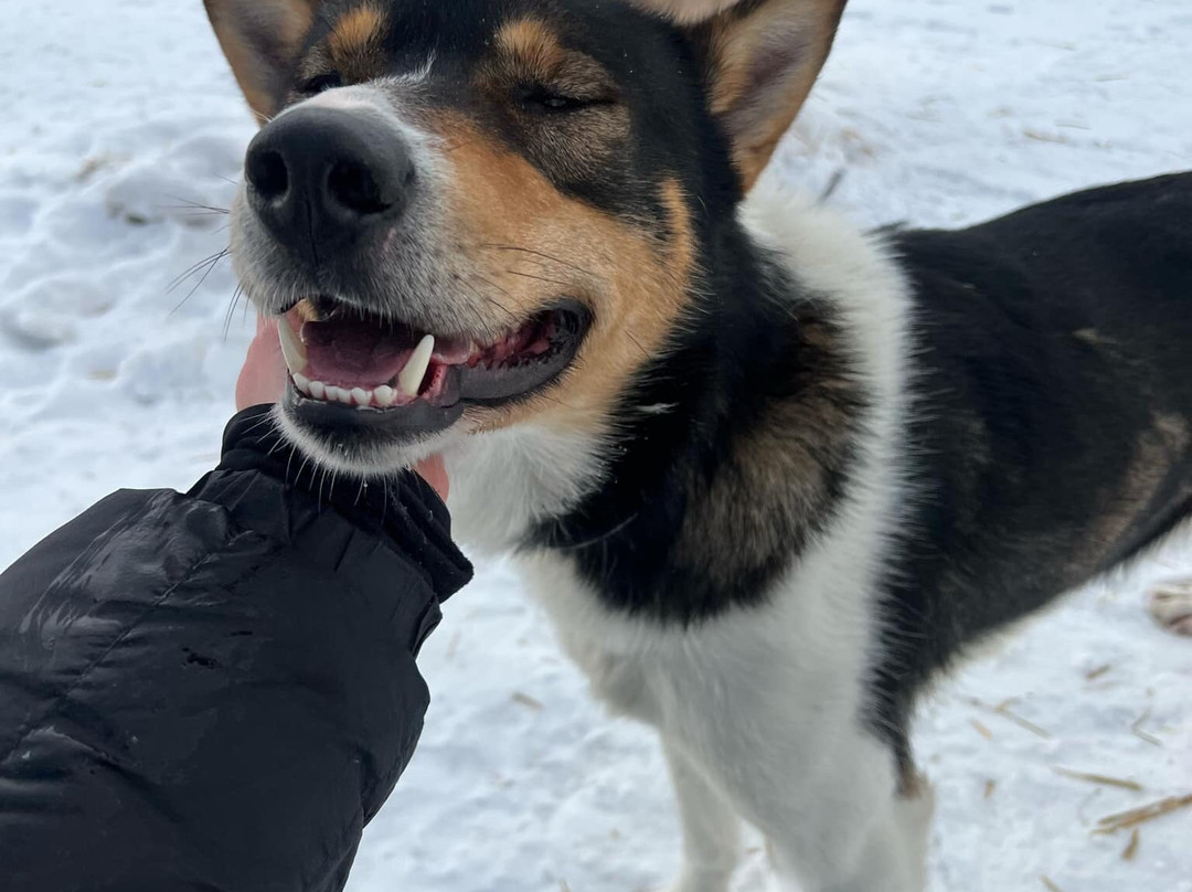 Seljeslett Gård-Russenes必去景点