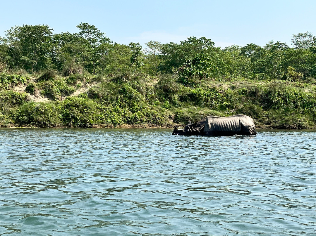 Safari Narayani Hotel主图