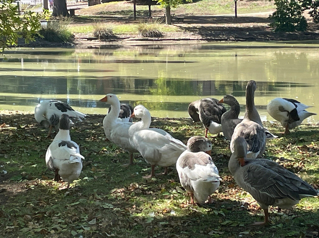 Malmsbury Botanic Gardens-Malmsbury必去景点