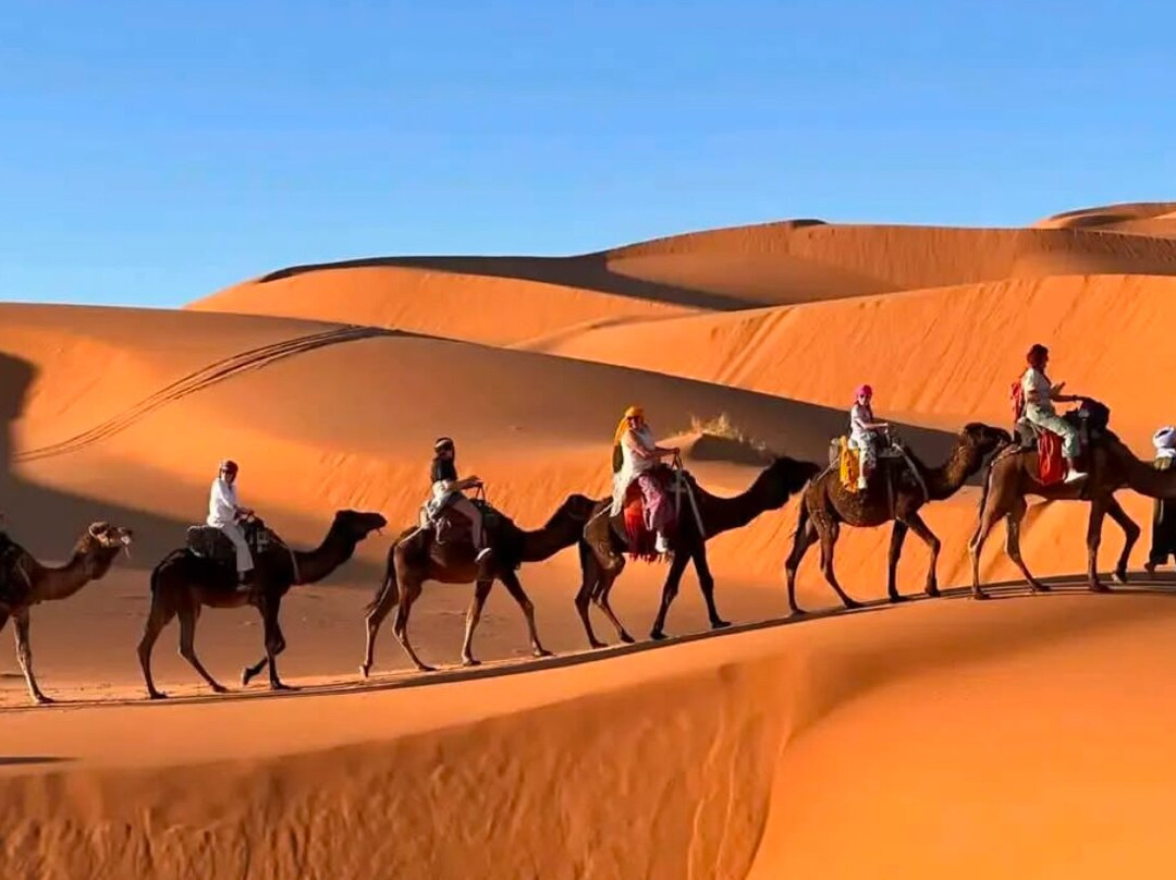 Best Marrakech Travel