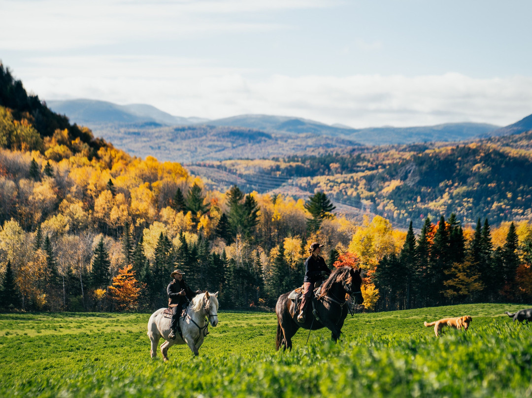 Les Montagnards de Charlevoix-Baie-St-Paul必去景点