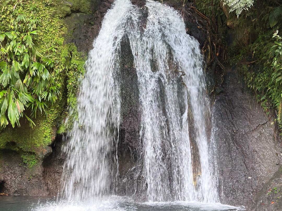 Blue Pearl-瓜德罗普岛必去景点