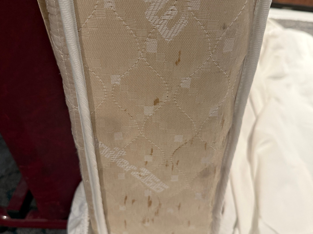 Pittsburgh Airport Marriott主图