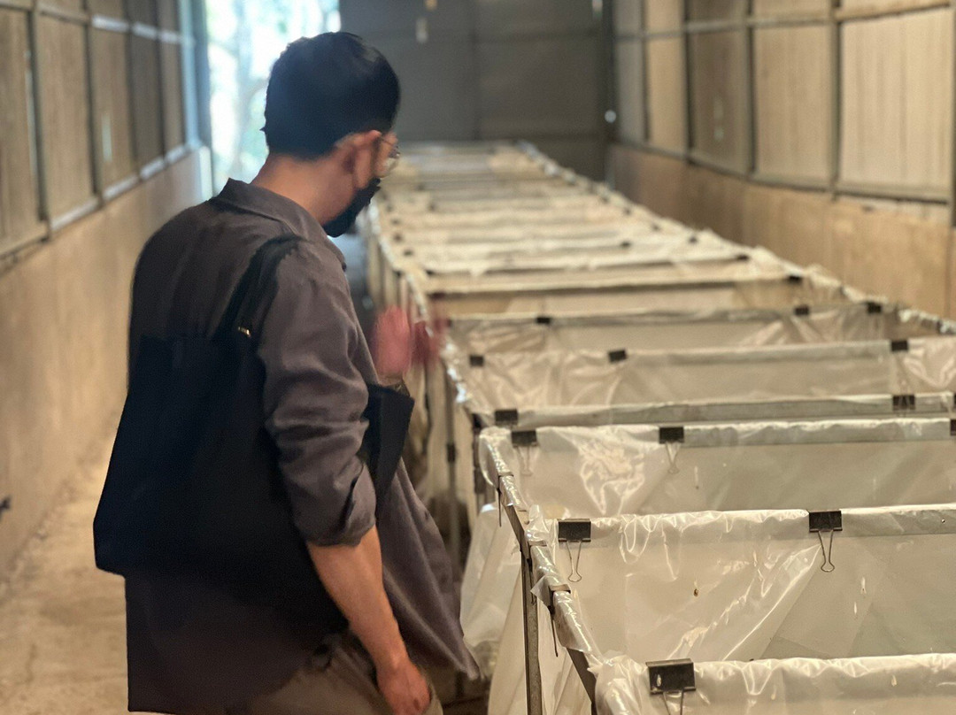 Linh An Pagoda-Lam Dong必去景点