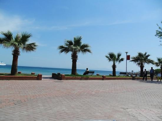 Aegean Park主图