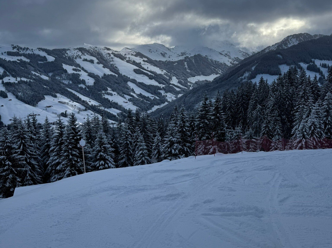 Furstenhof Guest House主图