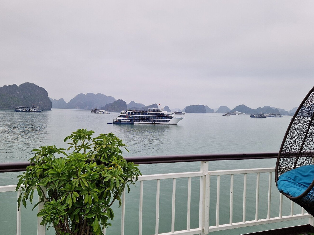 Amour Cruise-Ha Long City必去景点