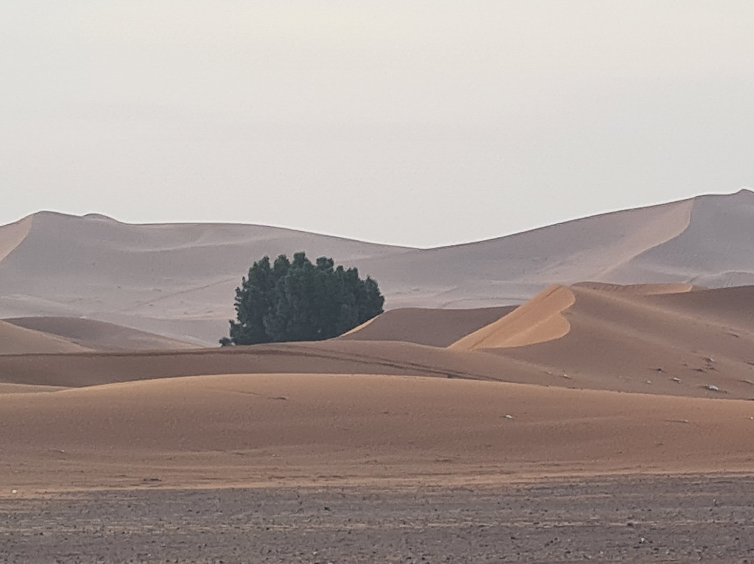 阿特拉斯和撒哈拉之旅-马拉喀什必去景点