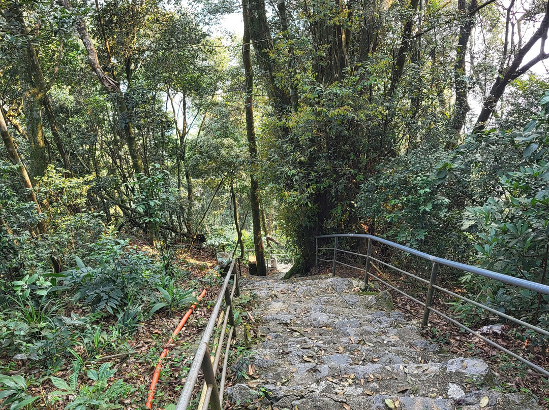 Ba Vi National Park-河内必去景点