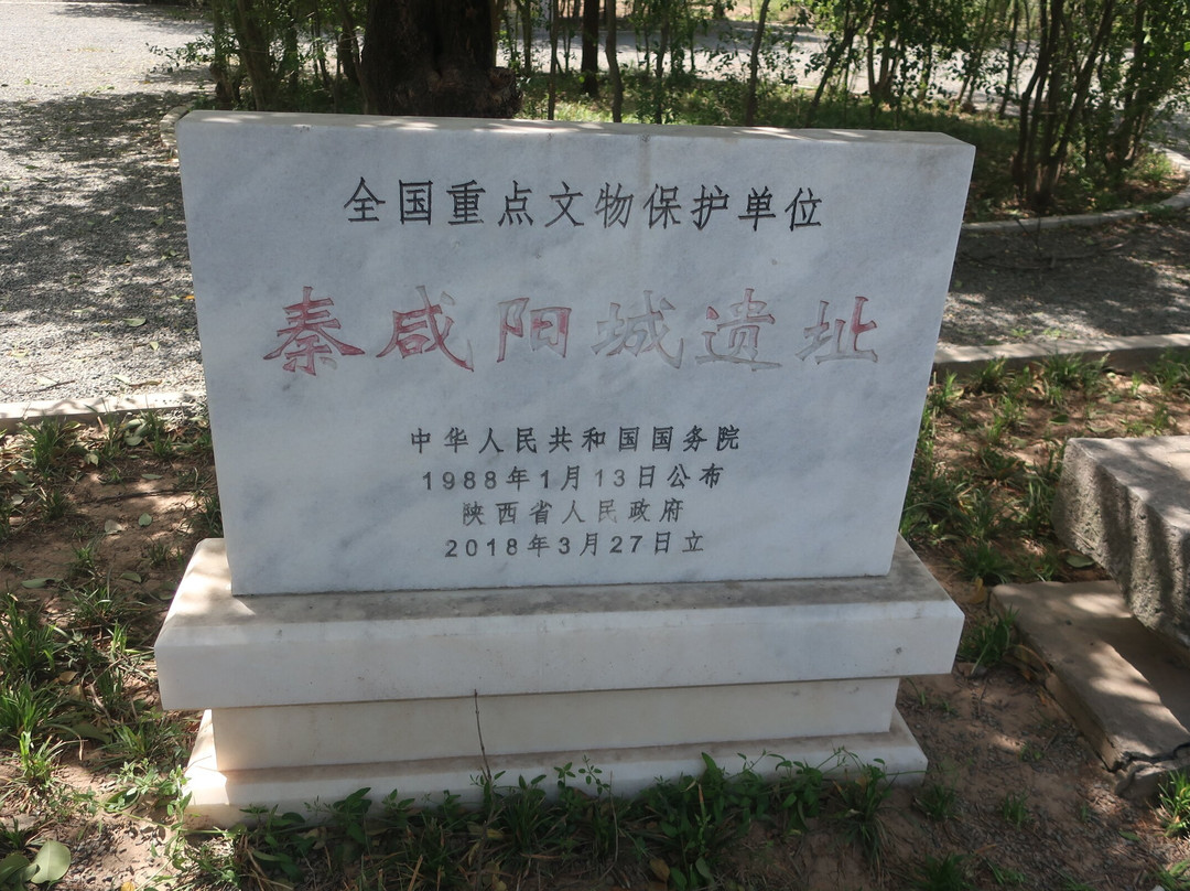 秦咸阳宫遗址博物馆-咸阳市必去景点