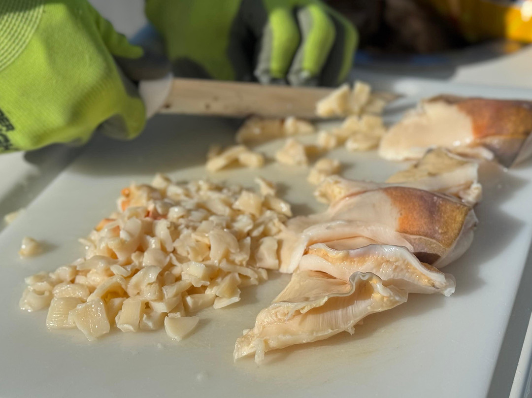 Horseshoe Reef-Anegada必去景点