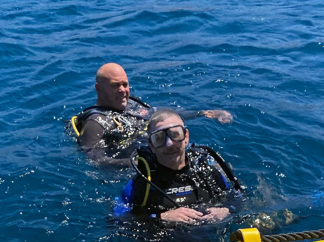 Blue Wilderness Dive Adventures-威可洛亚必去景点