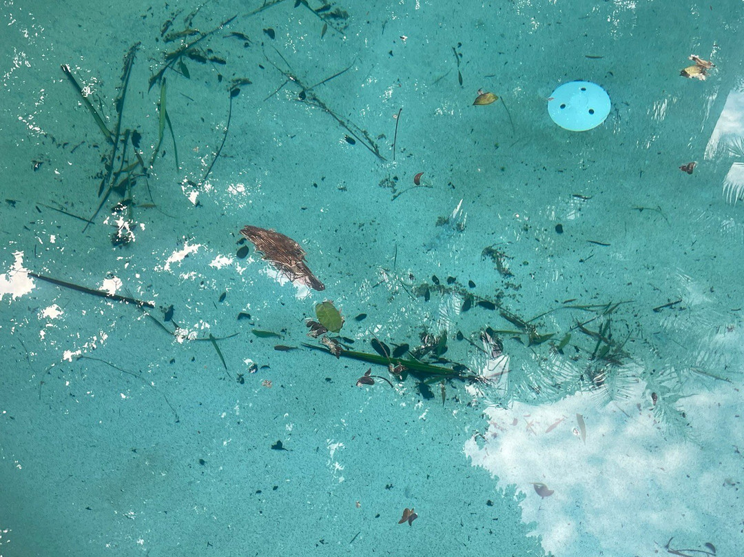 Villa Noosa Hotel主图