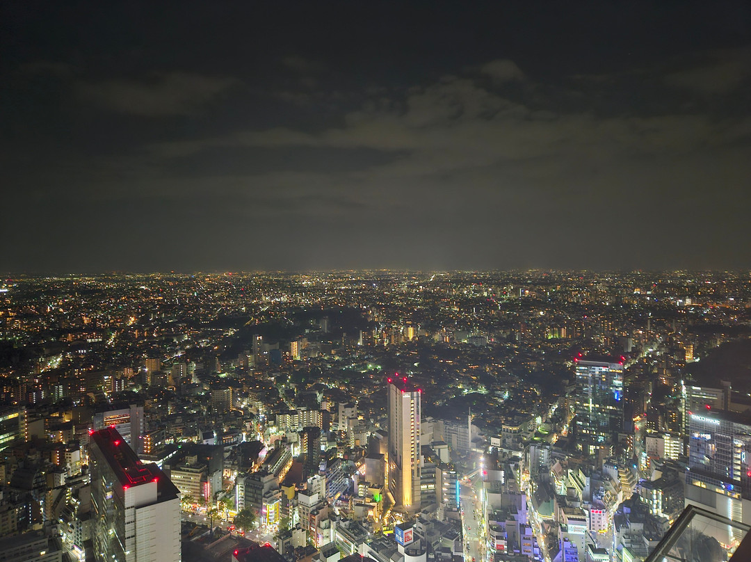 Shibuya Sky景点图片