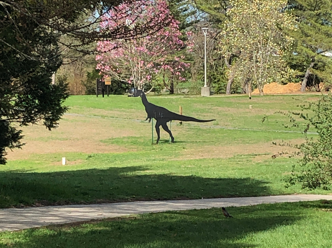 Dinosaur State Park & Arboretum-罗基希尔必去景点