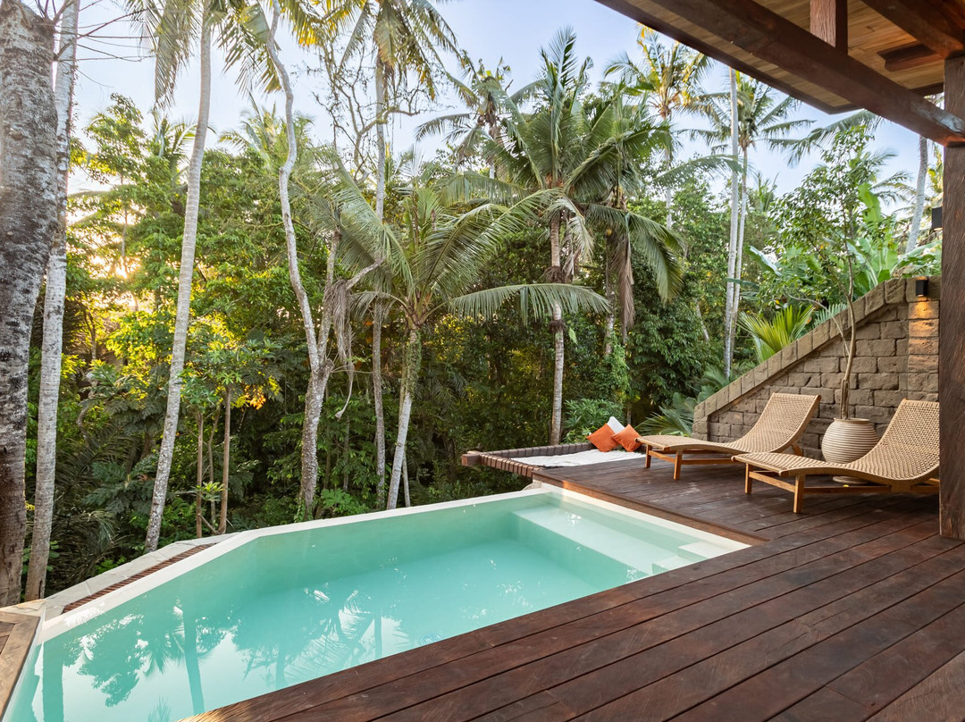 Casa Pohon Ubud主图
