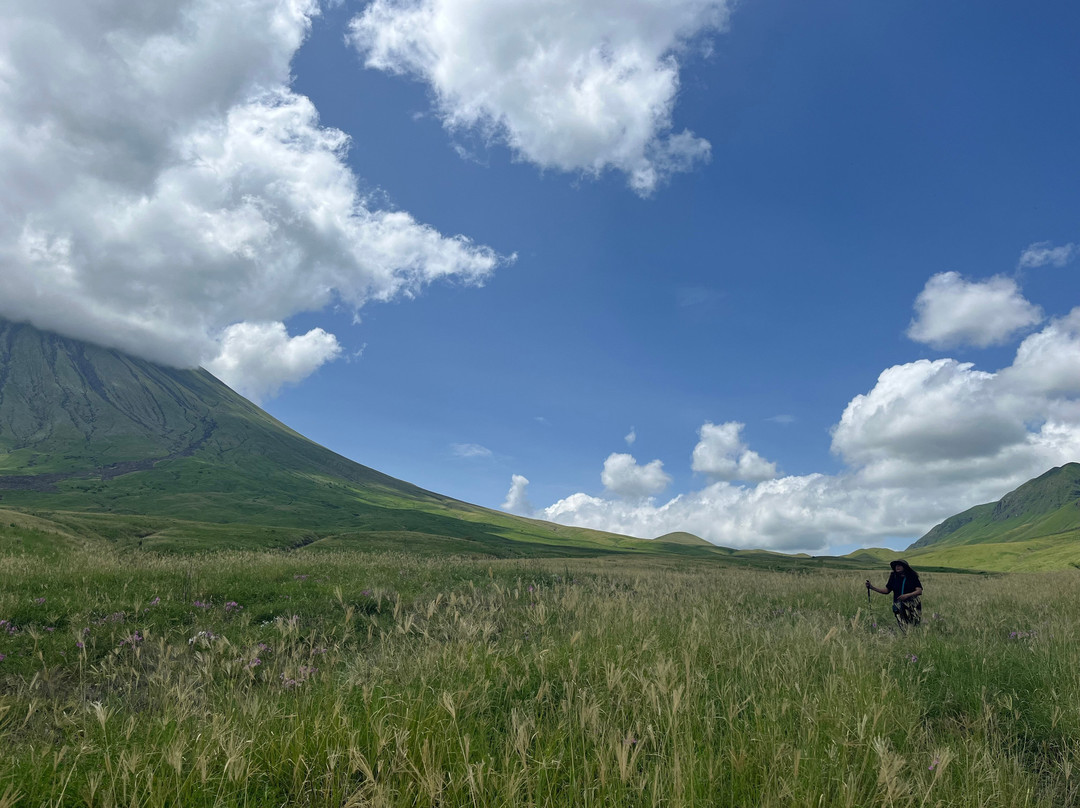 Great View Adventure-阿鲁沙必去景点