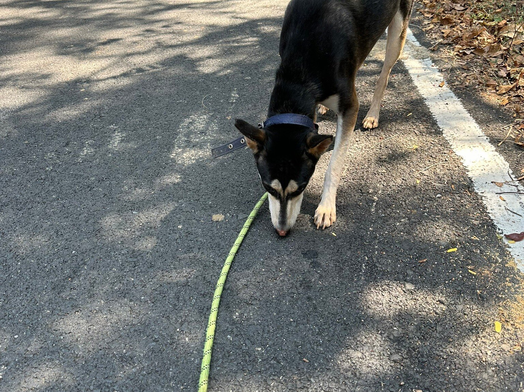 ARC Goa-格纳戈纳必去景点