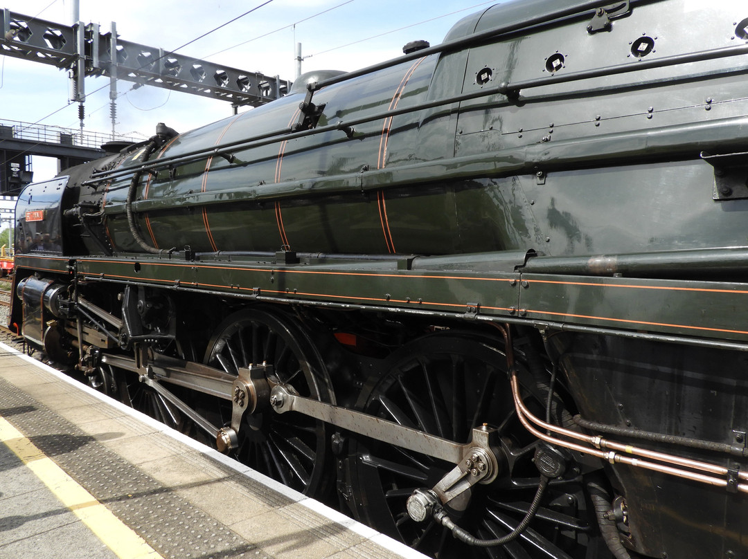 The Steam Dreams Rail Co.景点图片