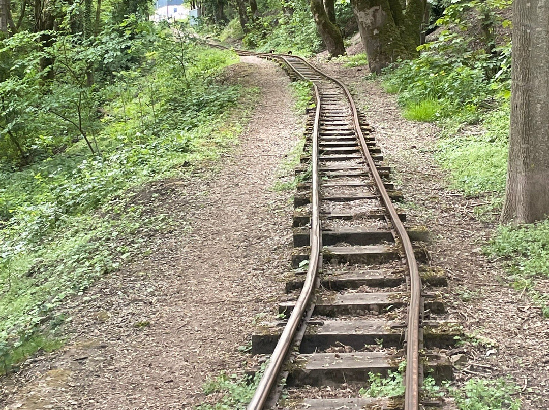 Steeple Grange Light Railway-马特洛克必去景点