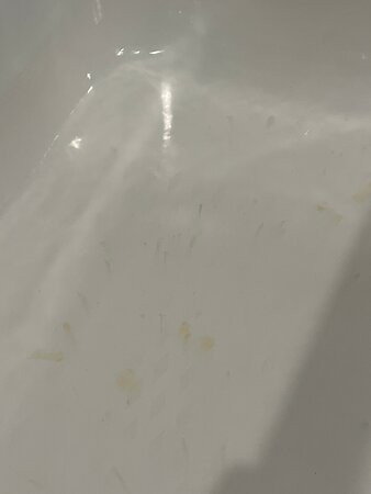 日落大道豪华酒店主图