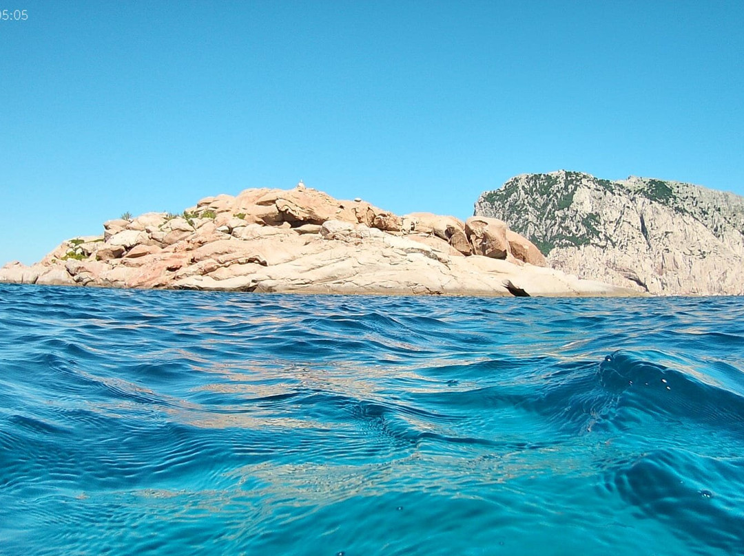 Blu Infinito Diving Center-San Teodoro必去景点