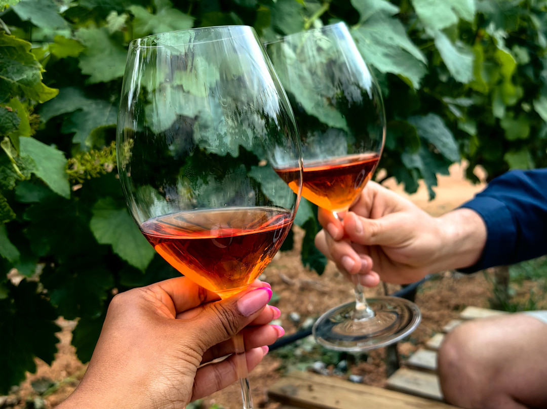 Ta' Betta Wine Estates-Siggiewi必去景点