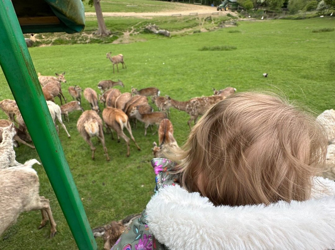 Bucklebury Farm Park-Bucklebury必去景点