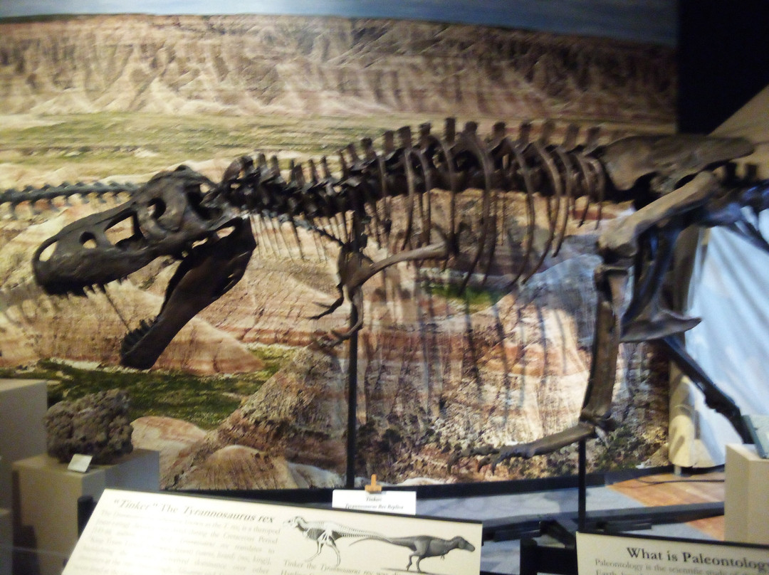 The Journey Museum-拉皮德城必去景点