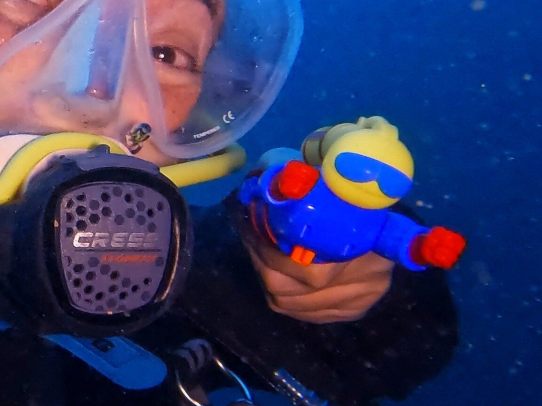 CIPS Dive-El Port de la Selva必去景点